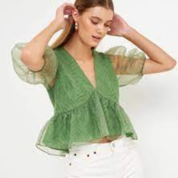 Endless Rose Green Organza Zebra Top - Picture 1 of 16
